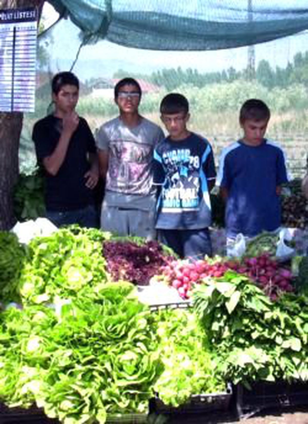 Erzurum'da Brokoli Yetiştirdiler