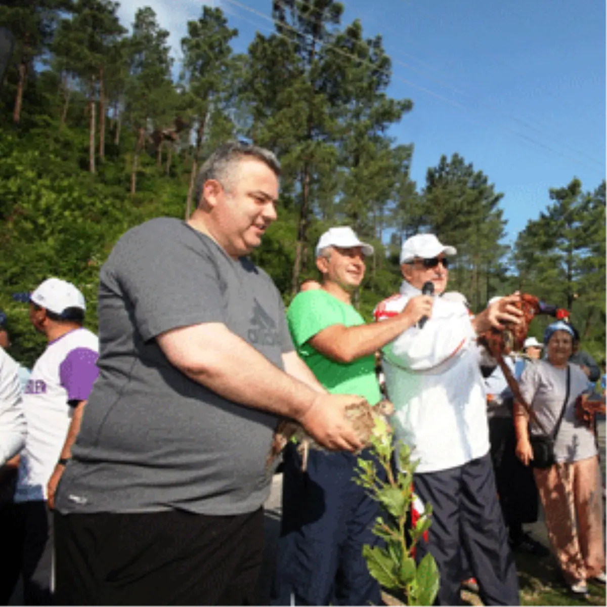 Sülünlerin Yeni Evi Çınarlıdere