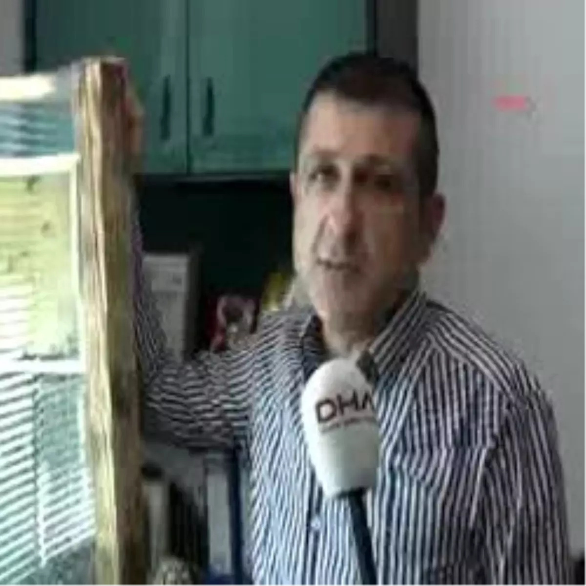 Çalışma Odasında Arı Besliyor