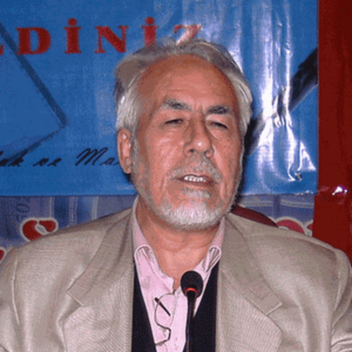 Mahmut Toptaş, Milli Gazete