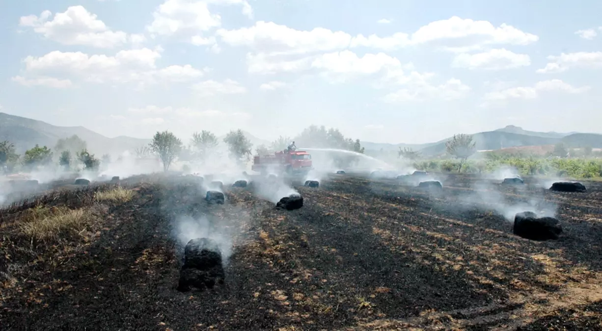 Çeltikçi\'de Üzüm Bağları Yandı