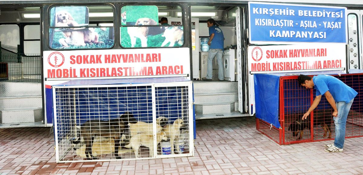 'Herkesin Hayvanı Olsun' Kampanyası