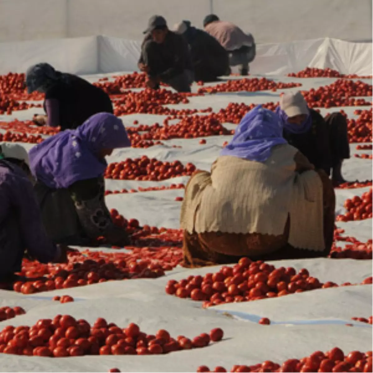 Acı Haberi Gurbette Öğrendiler
