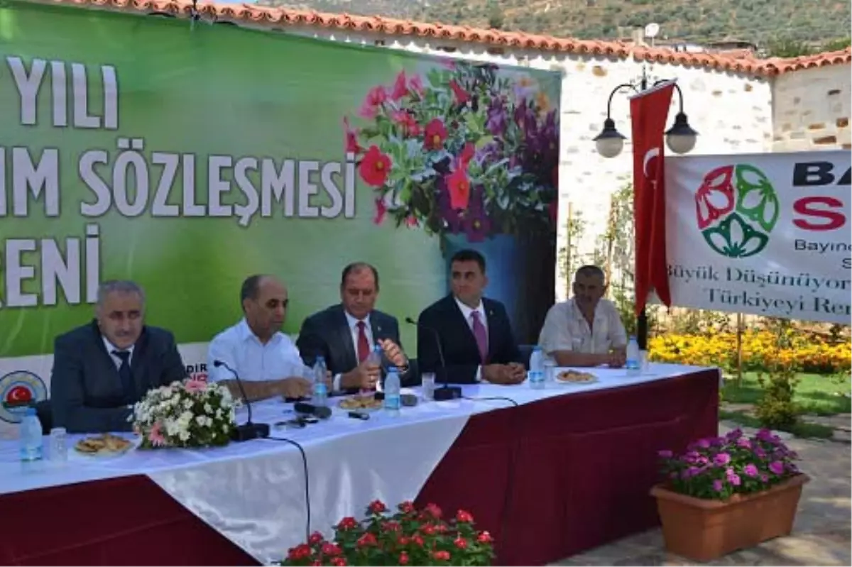 İstanbul'u İzmir'in Çiçeği Süsleyecek