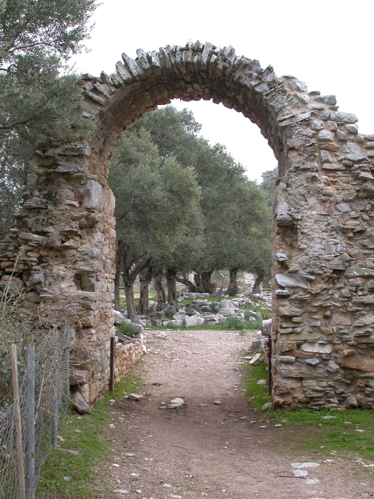 Karia Yolu'na Destek