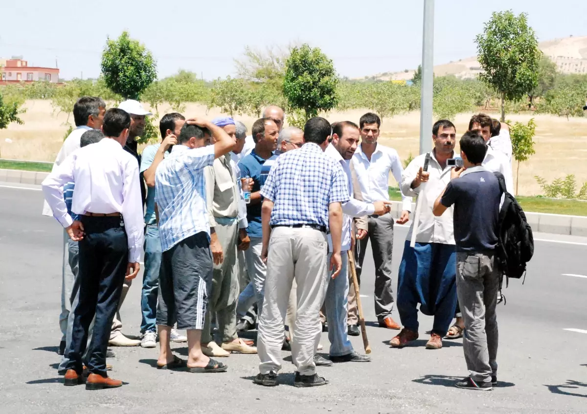 Besiciler Angusları Yolda Karşıladı