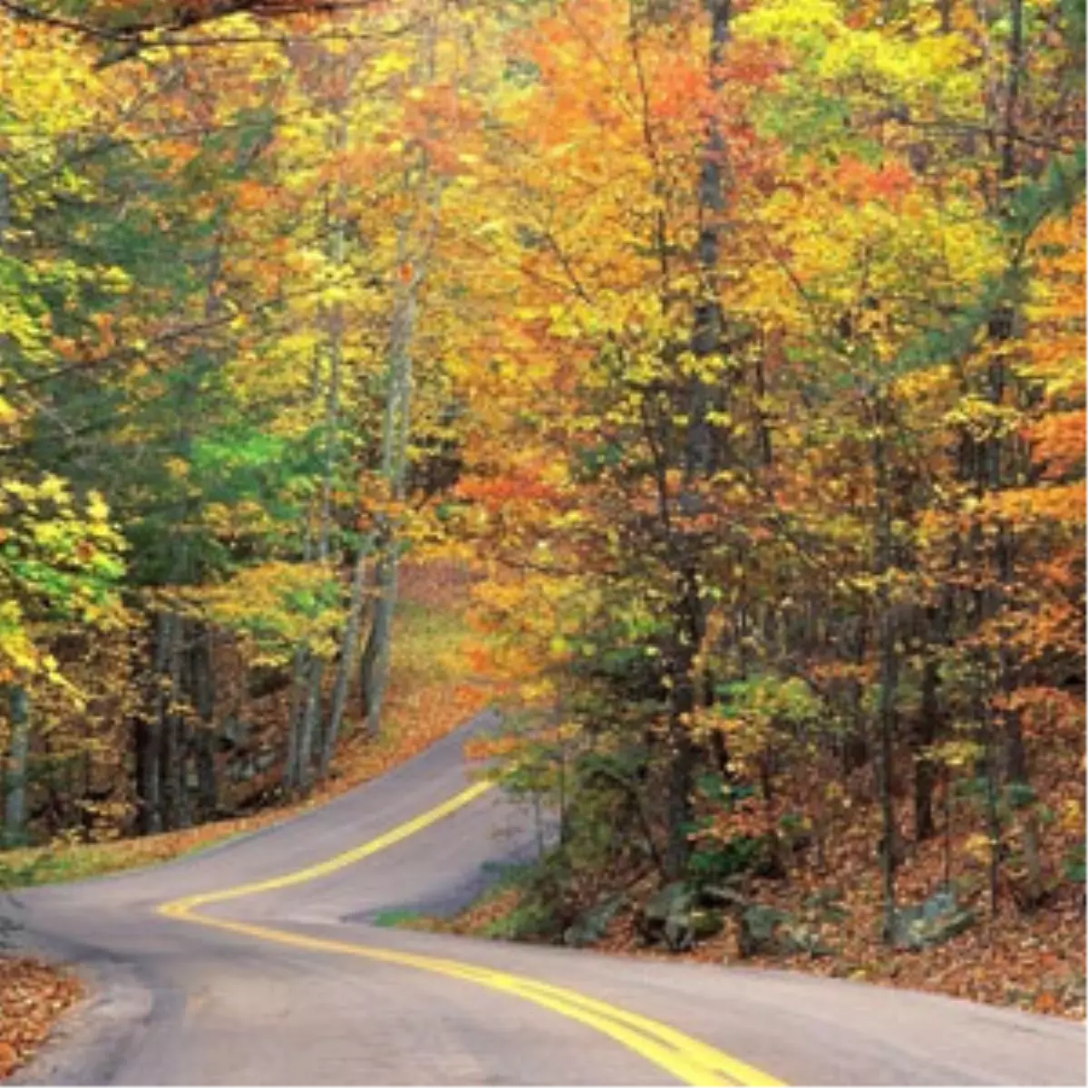 Bu Haberi Okumadan Yola çıkmayın