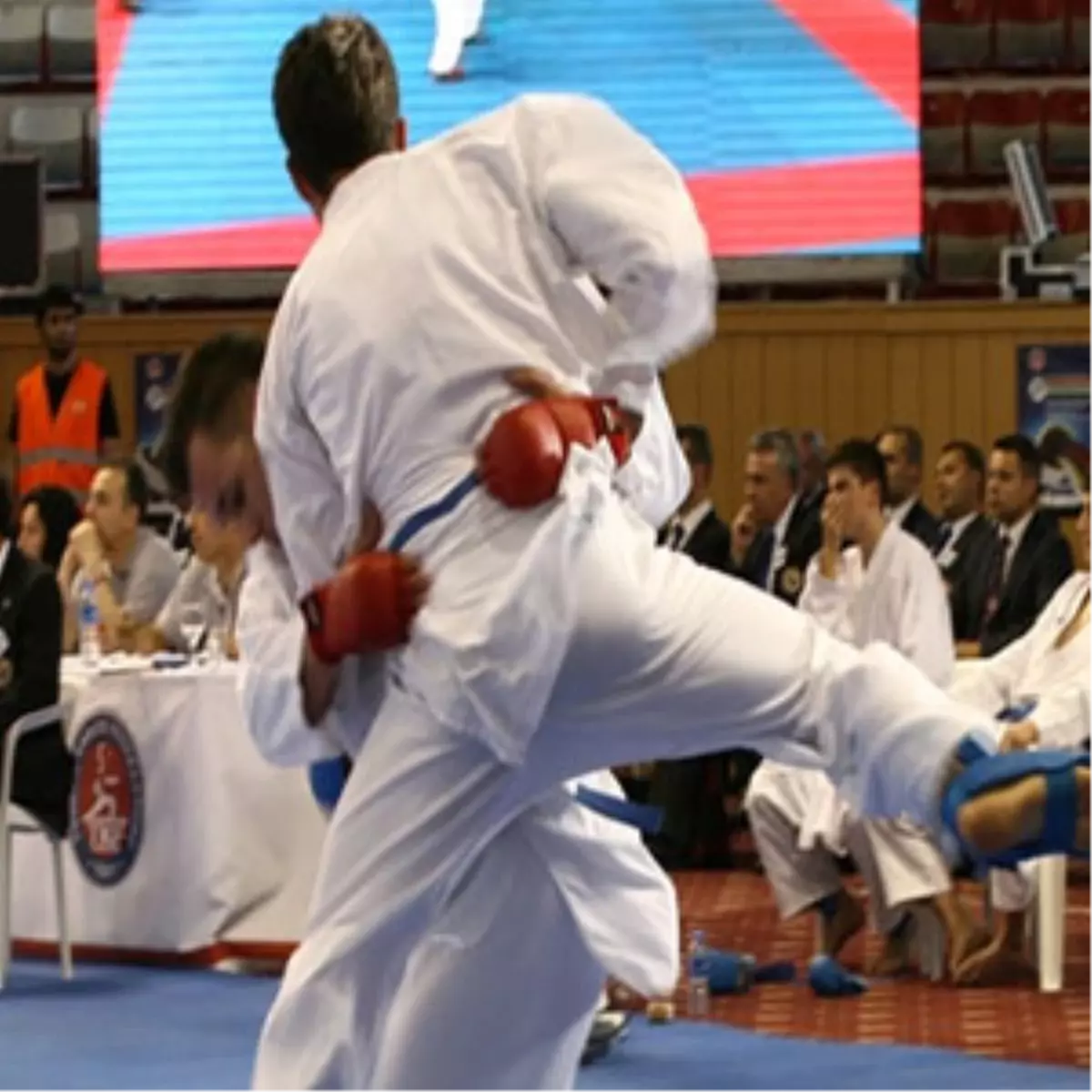 Sakarya Uluslararası Open Karate Turnuvası