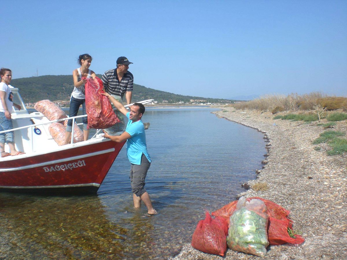 Hasır Adası\'nda Açlıktan Telef Olan Tavşanlara Havuç