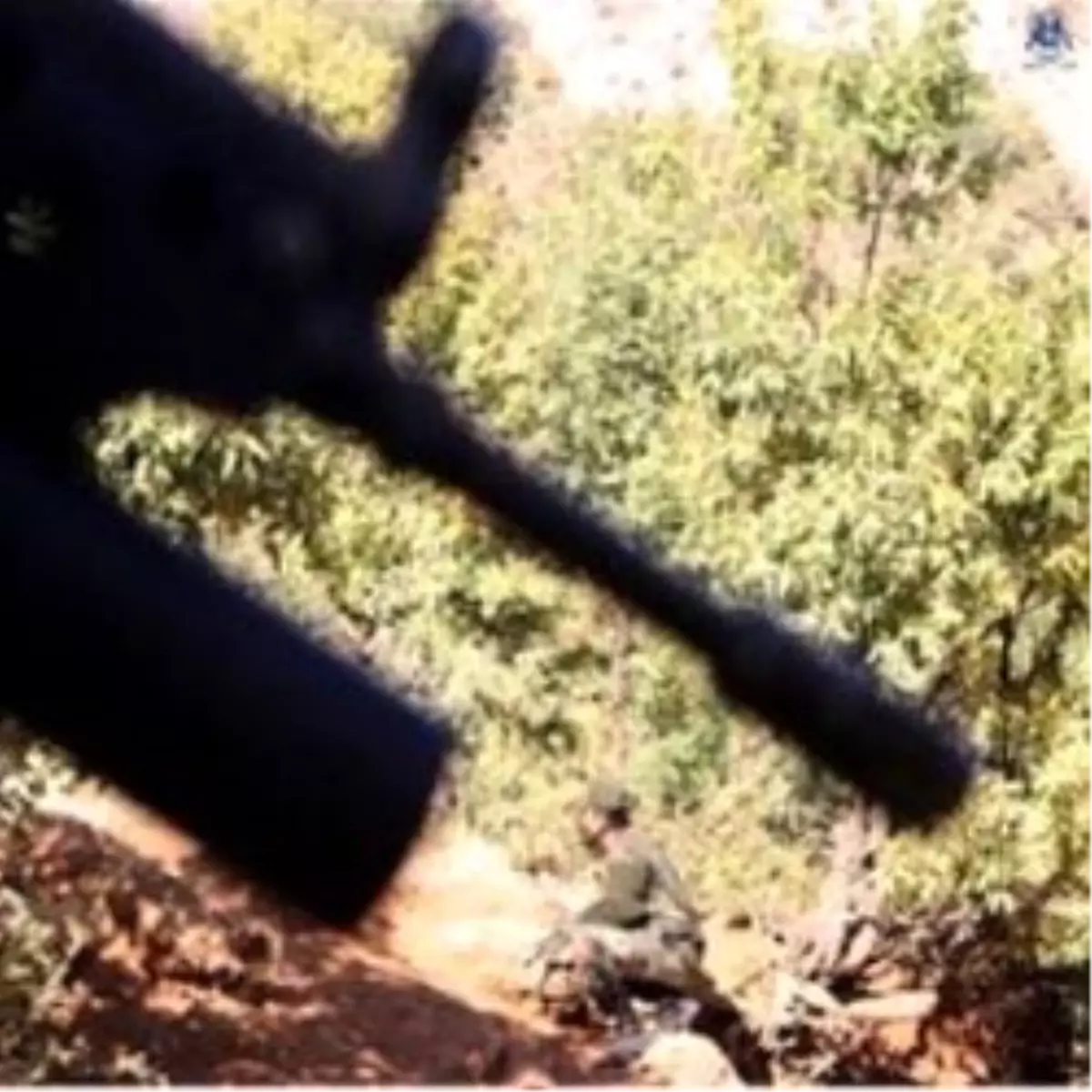 4 Terörist Etkisiz Hale Getirildi