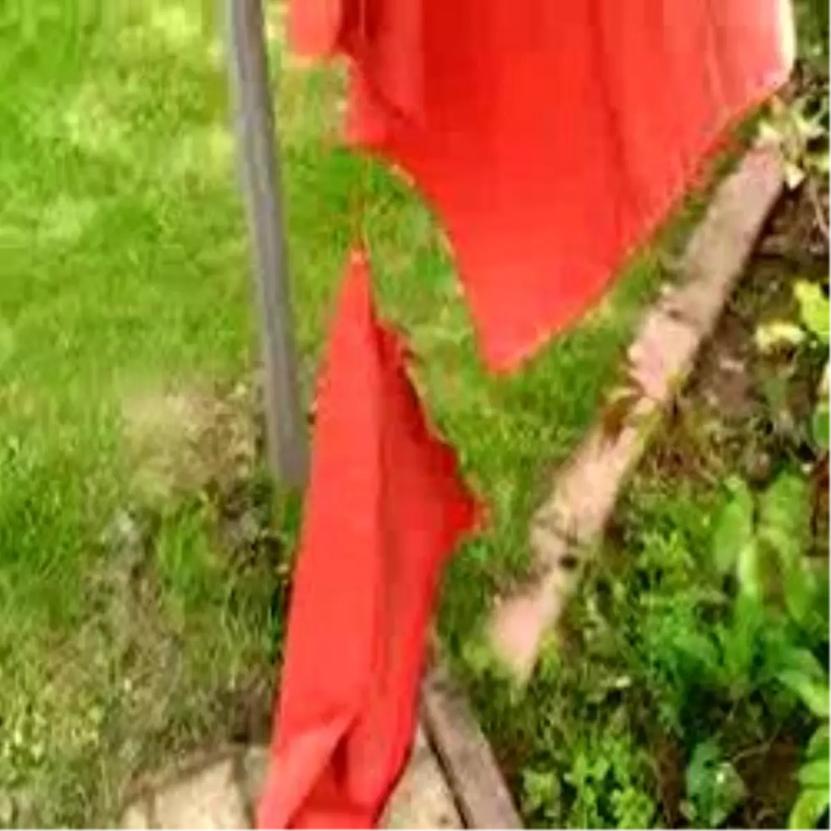 Belçika\'da Türk Camisine Saldırı