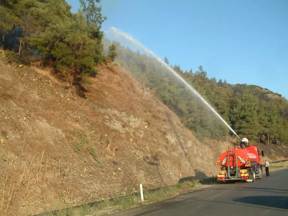 Çocukların Yaktığı Ateş, 50 Hektarlık Ormanı Kül Etti