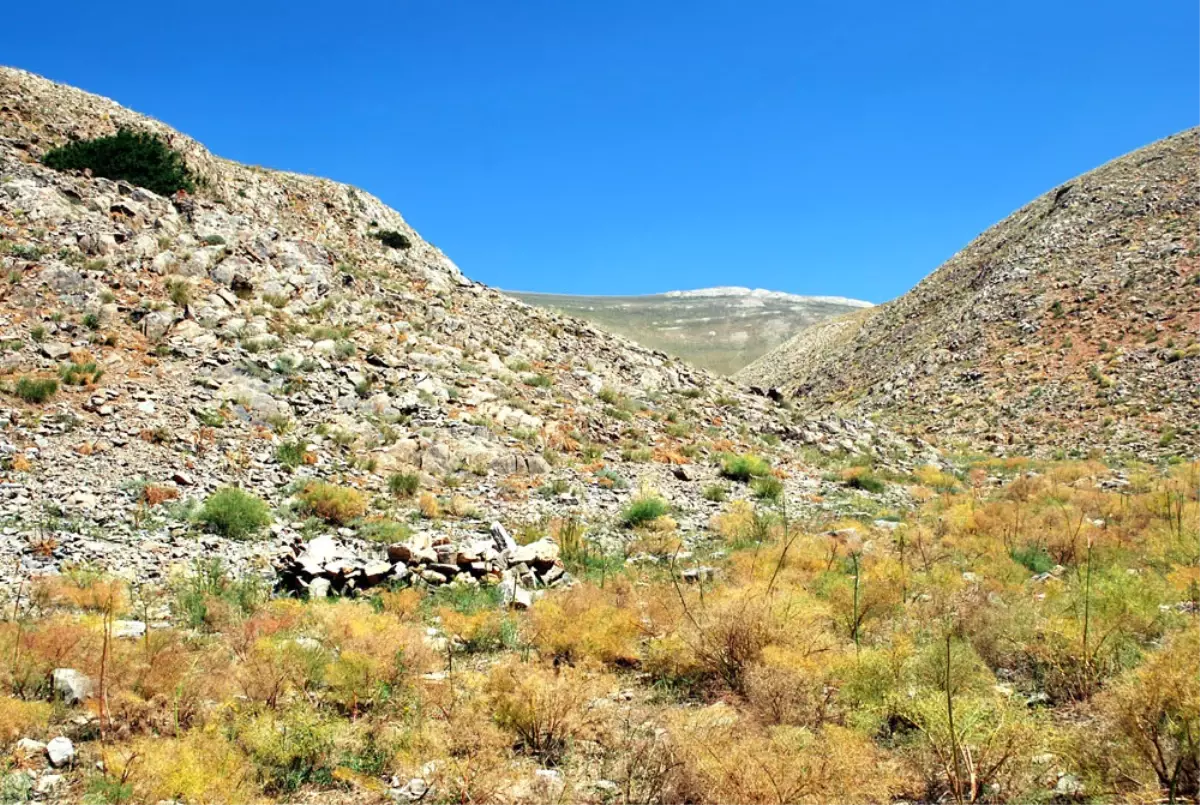 İhd\'den Çatak\'ta Toplu Mezar İddiası