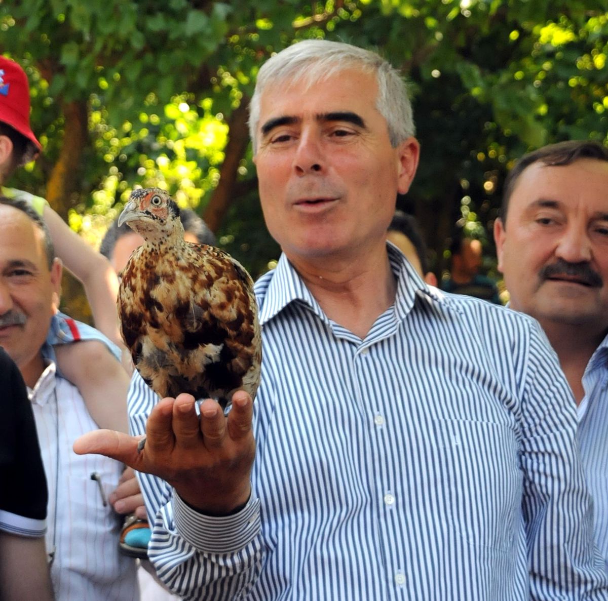 Keneyle Mücadele İçin Doğaya Sülün Bırakıldı