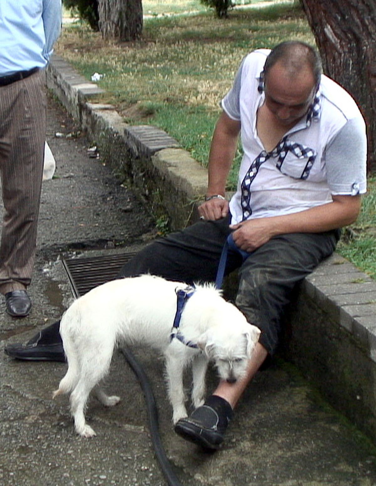 Rögara Düştü, Çıkarılınca Köpeği Yarasını Yaladı