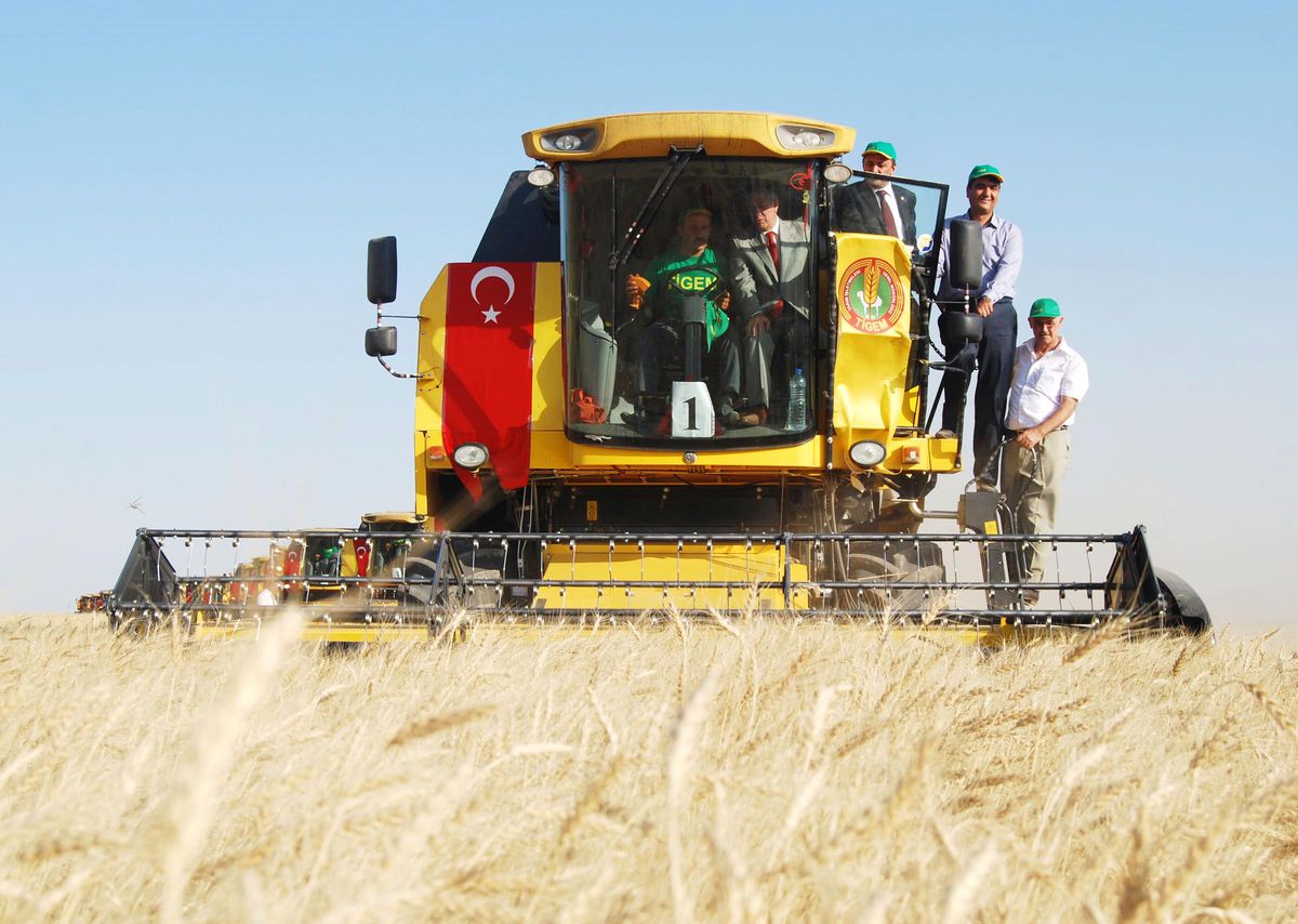 Boztepe'de Hasat Bayramı