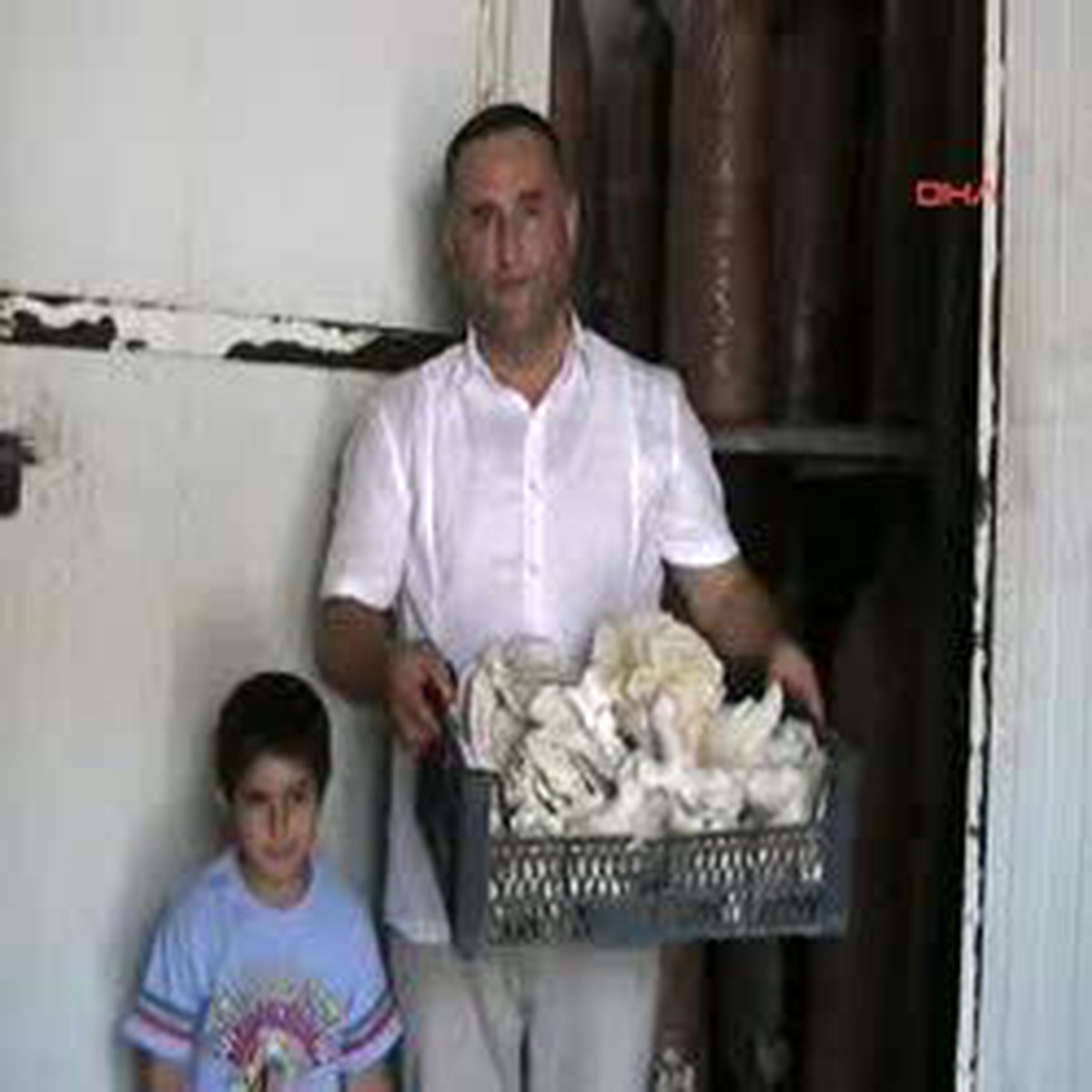 Fındık Yerine Kayın Mantarı