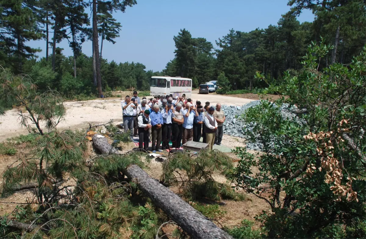 Ağaçlar Kesilmesin Diye Cuma Namazını Ormanda Kıldılar