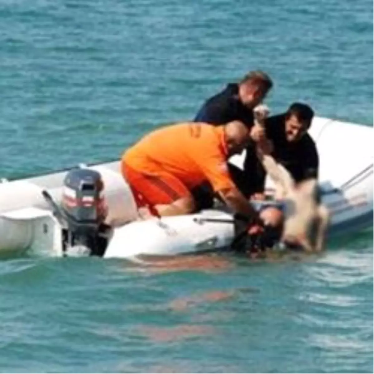 1 İmam ve 2 Öğrencisi Boğuldu