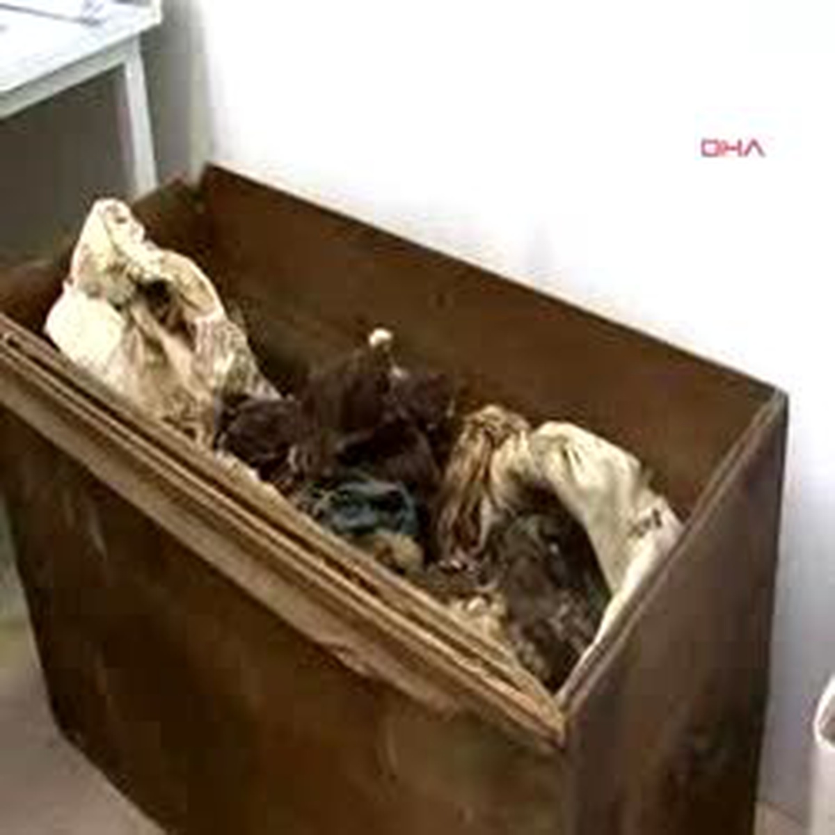 500 Yıllık Hazine
