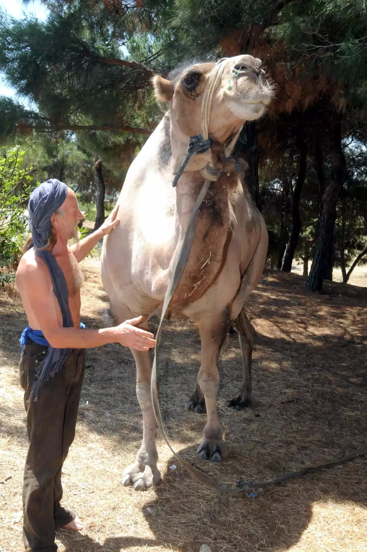 Kırklareli'nde Konaklayan Gezginin Keçisi Çalındı