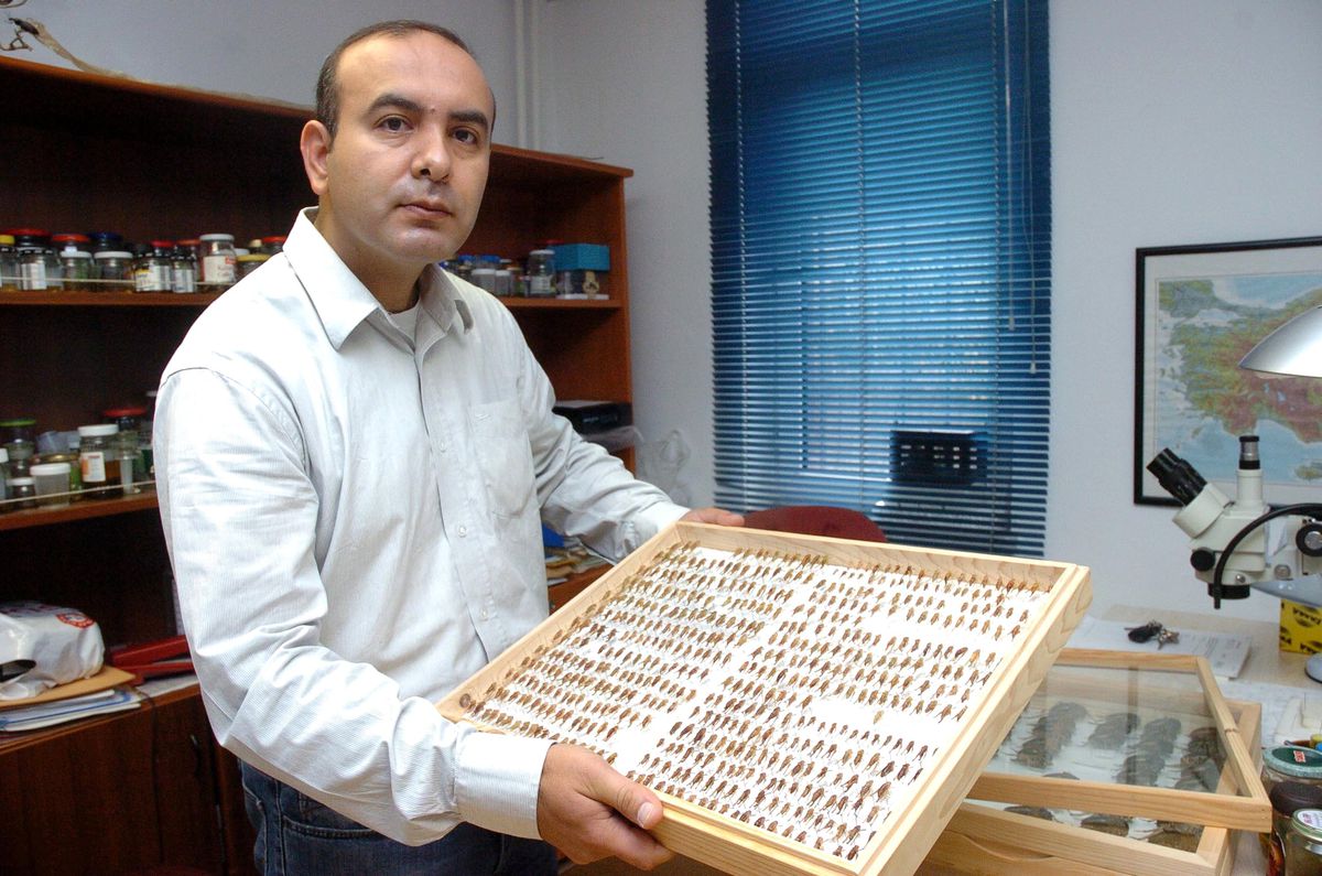 2 Yılda 18 Çekirge Türü Keşfetti