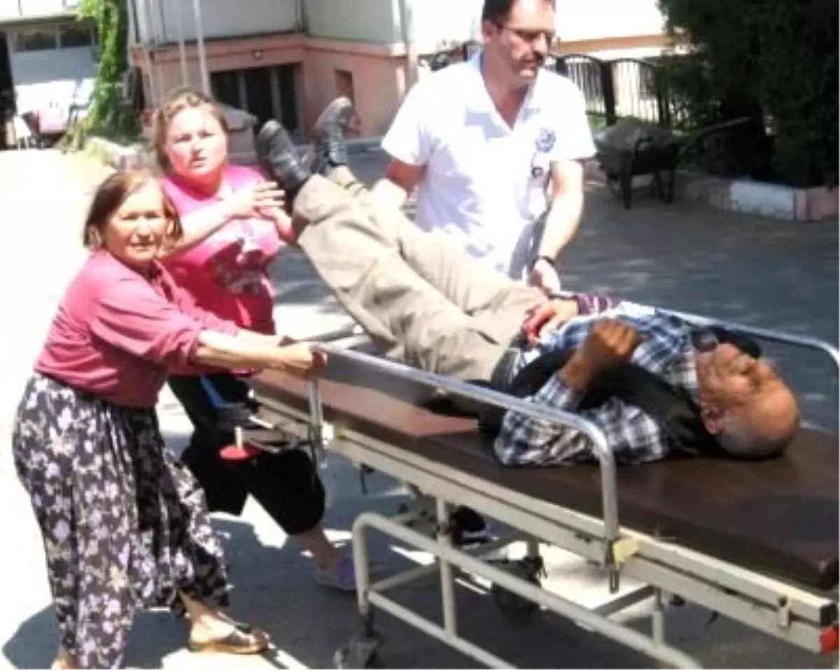 Köstebek Avlarken Kendini Vurdu