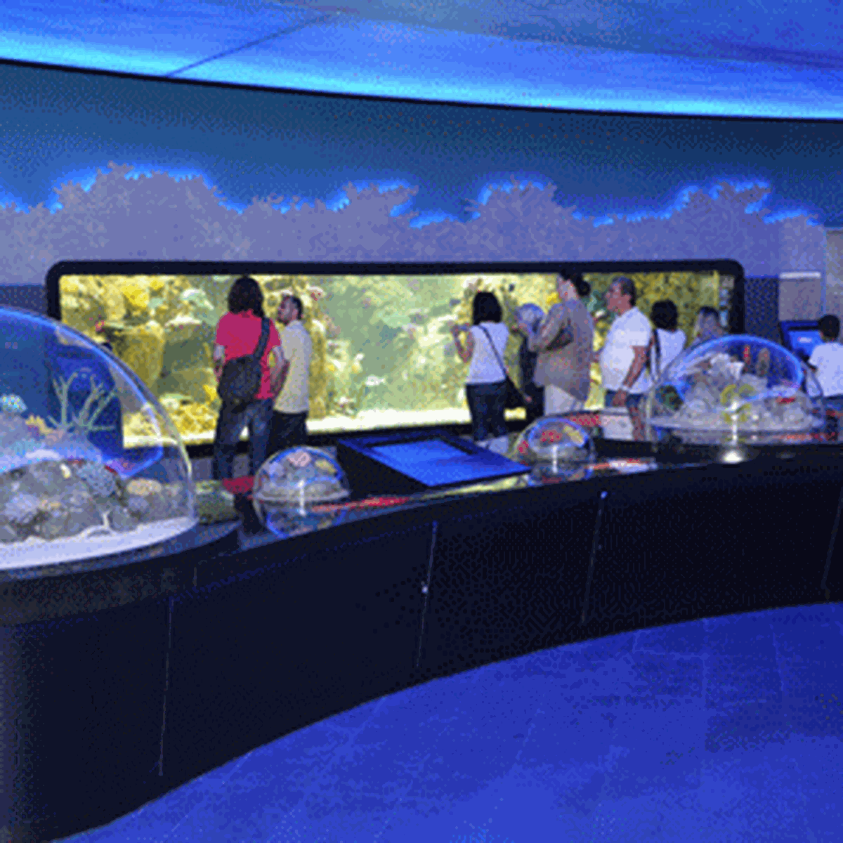 Dünyanın En Büyük Tematik Akvaryumu Florya'da!