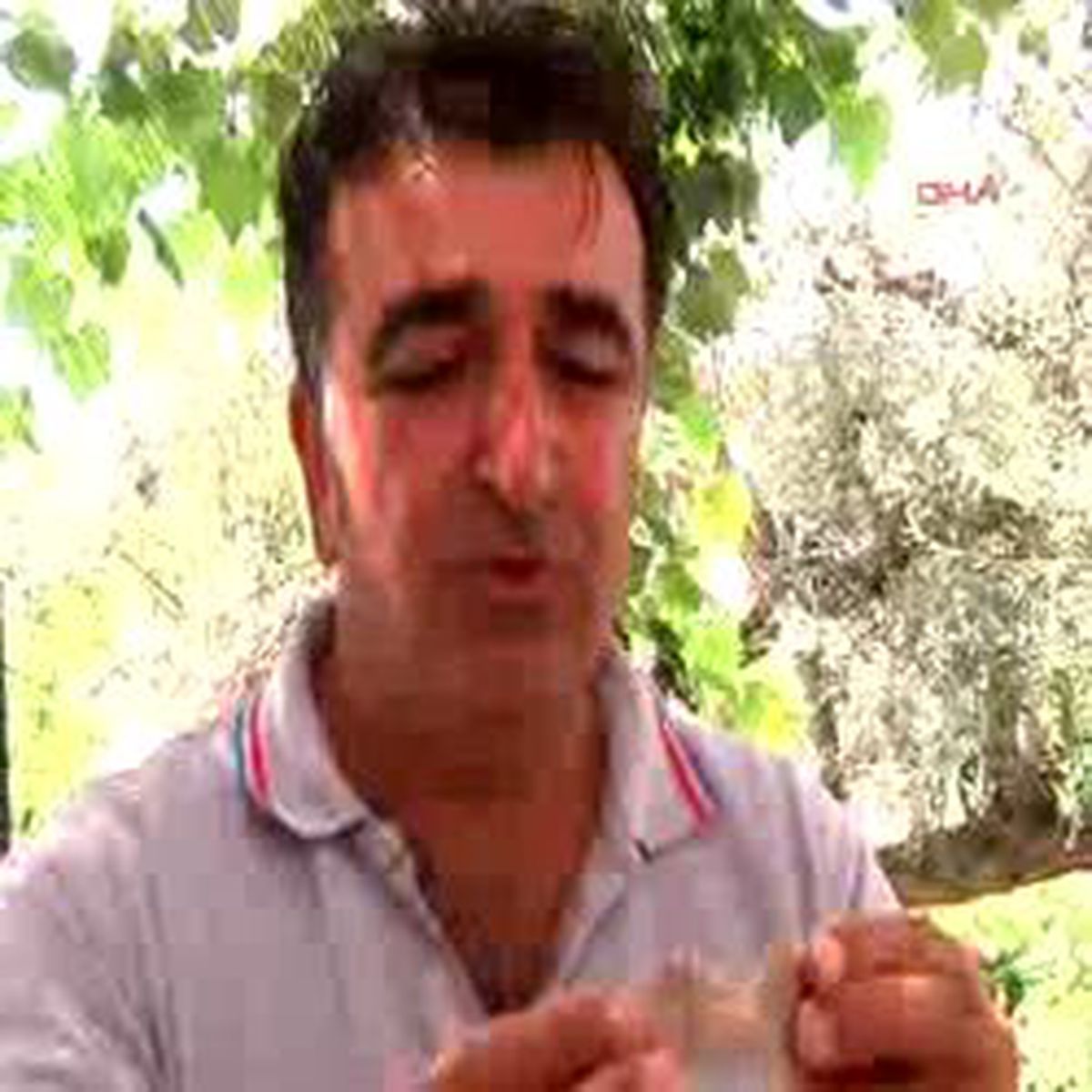 Bodrum4 Tavşan Adası'nda Tapınağa Ulaşıldı