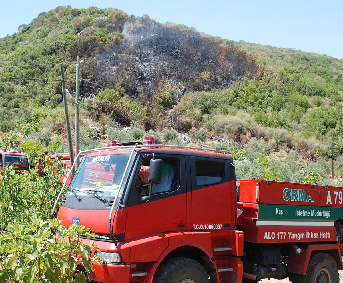 Hızlı Müdahale Ormanı Kurtardı