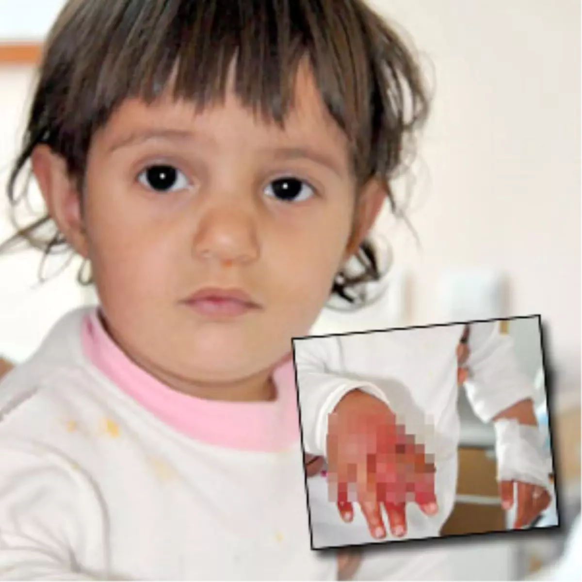 Sadece Keçi Sevmek İstemişti!