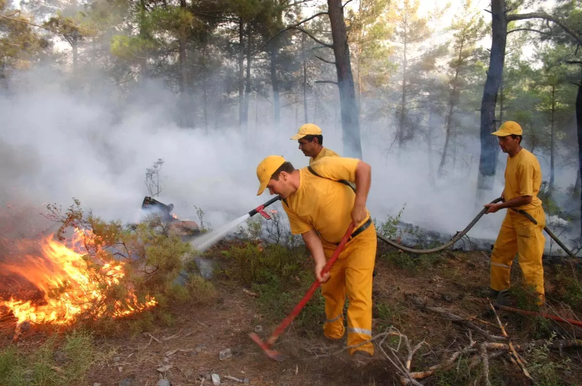 Dalaman\'da Orman Yangını