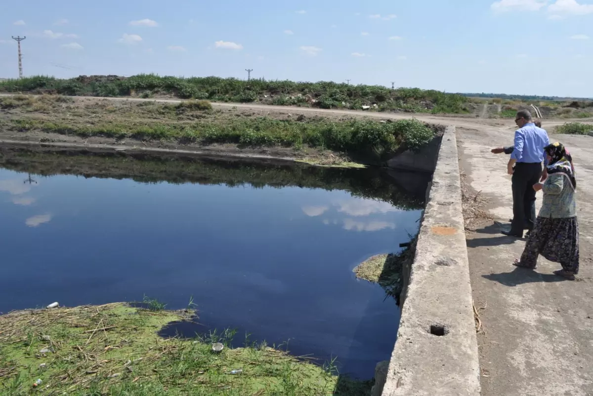 Ergene Nehri\'ndeki Kirlilik Korkutuyor