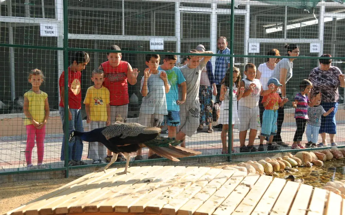 Çorlu\'daki Hayvanat Bahçesine Çocuk İlgisi