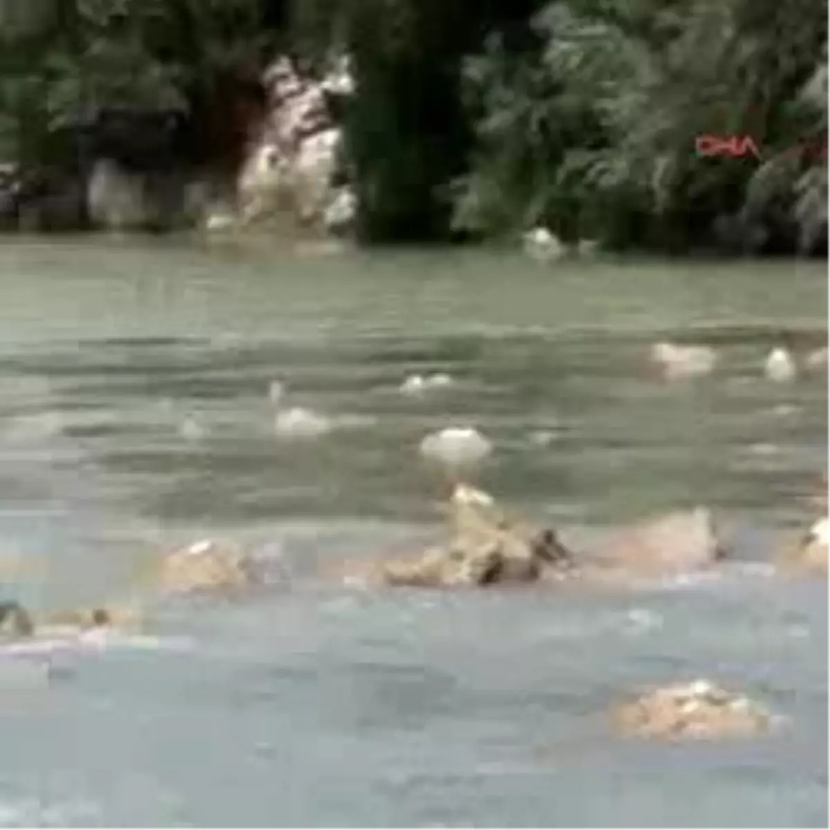 Göksu Irmağı\'nda Kadın Cesedi Bulundu