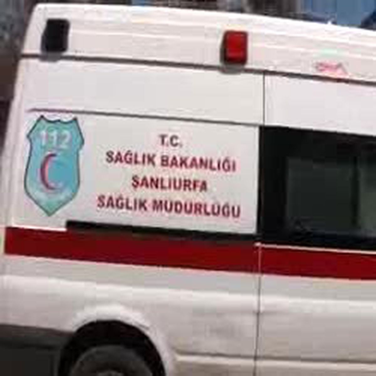 Yılan Yerine Hamile Komşusunu Öldürdü, Kardeşini Yaraladı
