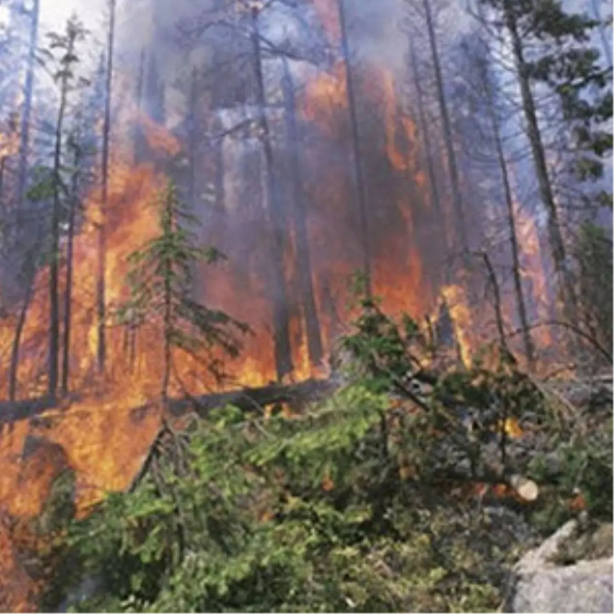 Alevler Köyü Yuttu