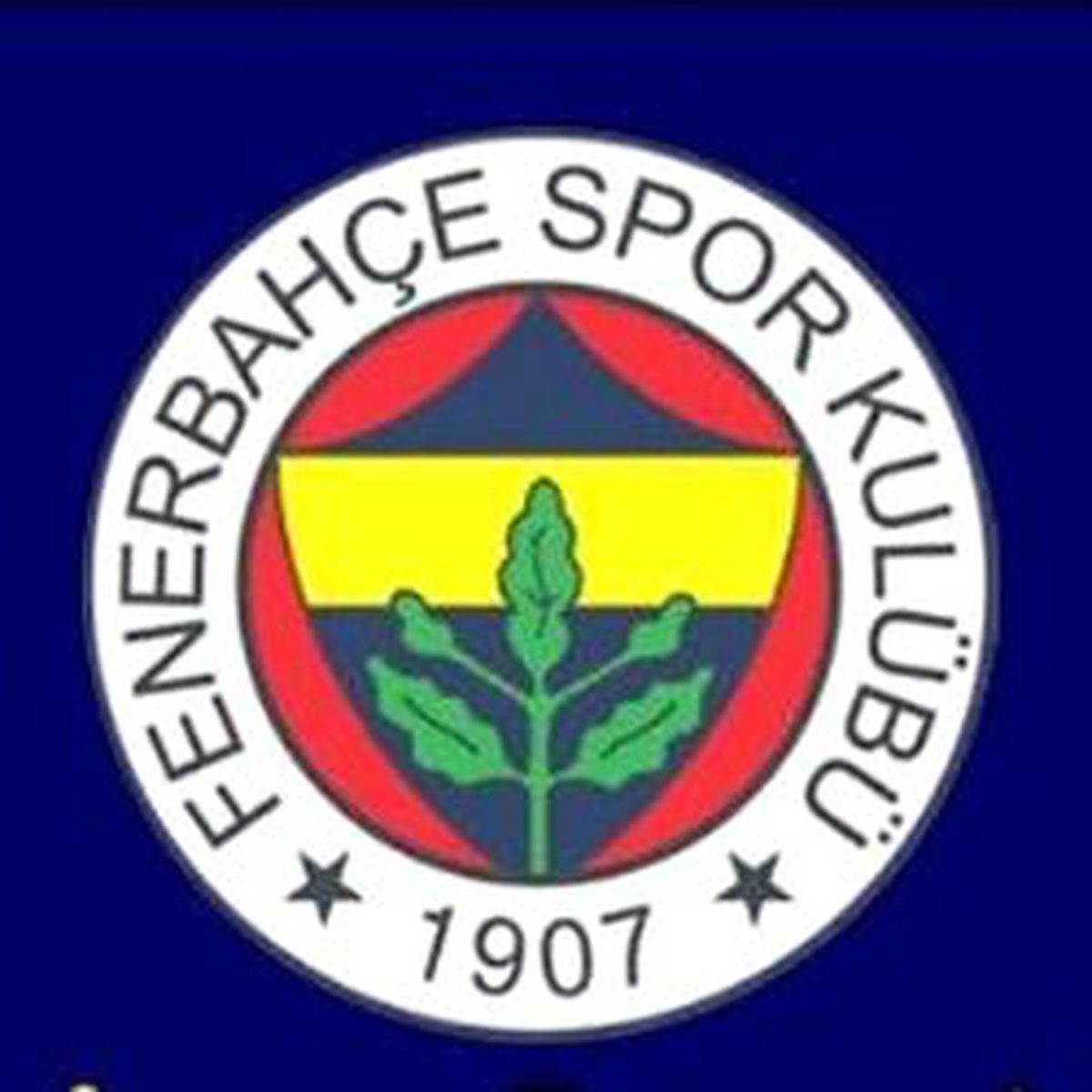 Fenerbahçe Borsa'ya Bilgi Verdi