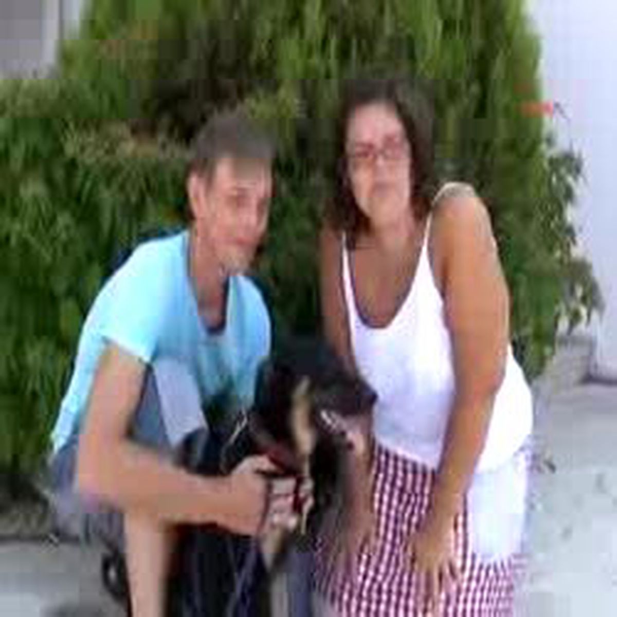 Şanslı Buddy