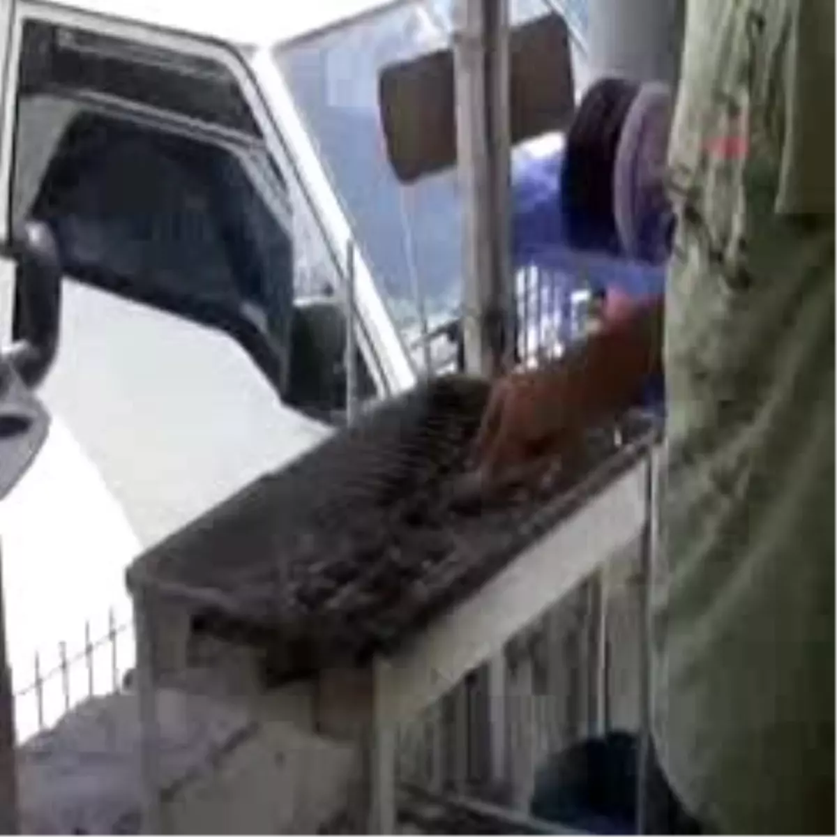 Üniversiteli Köfteci