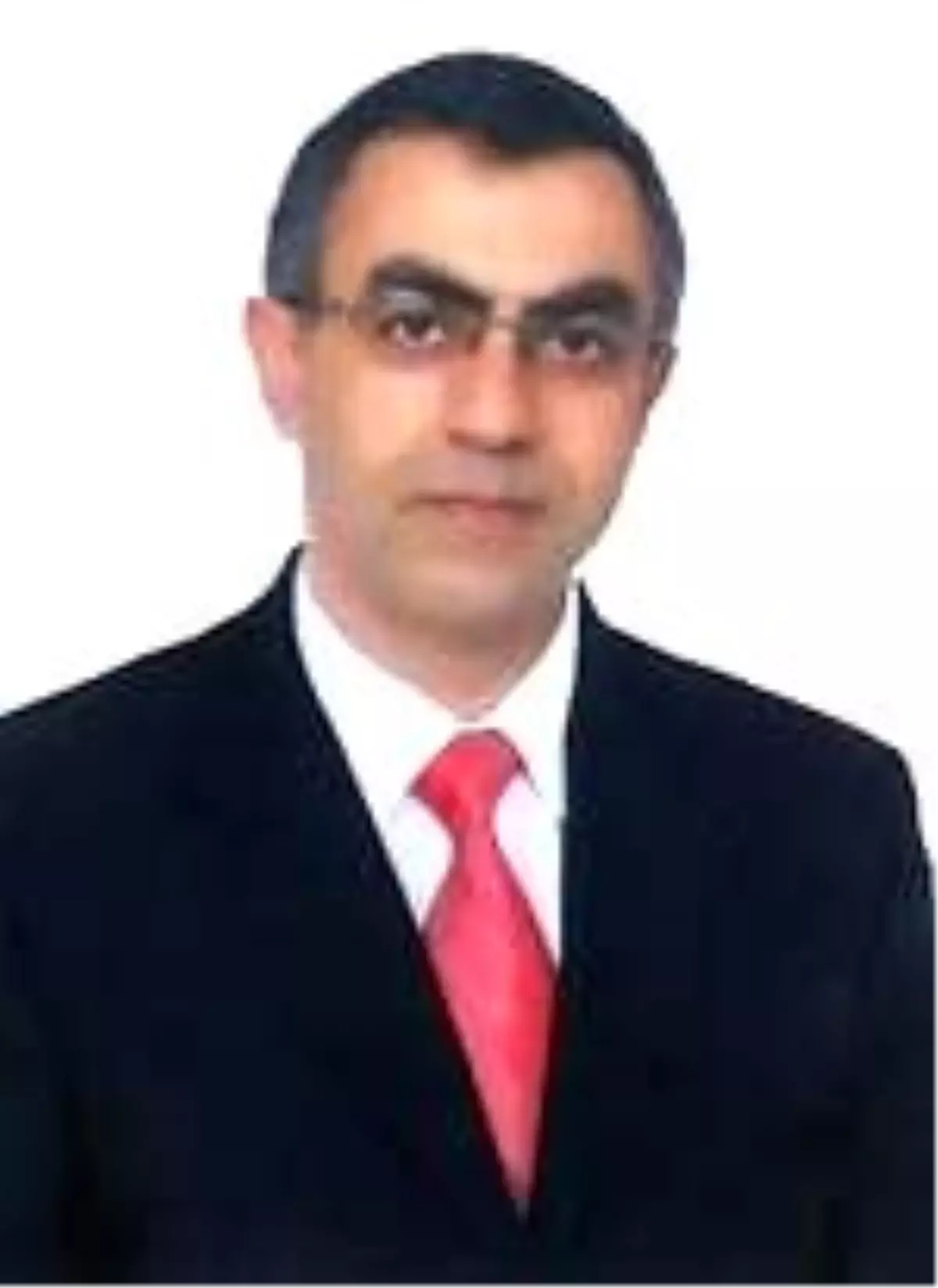 Kuş Cenneti\'ndeki Köpekler Toplanıyor