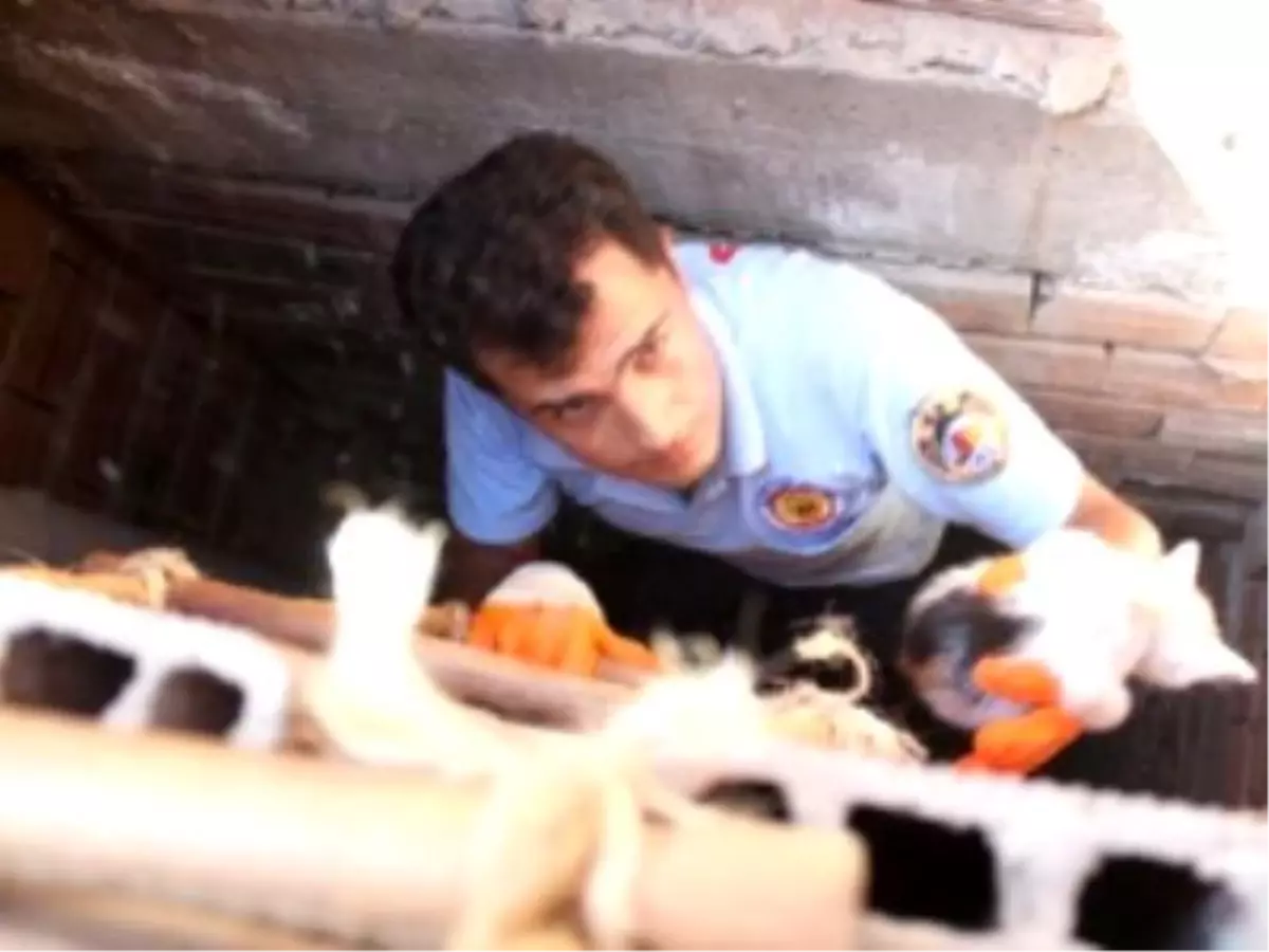 Havalandırmaya Düşen Yavru Kediyi İtfaiye Kurtardı