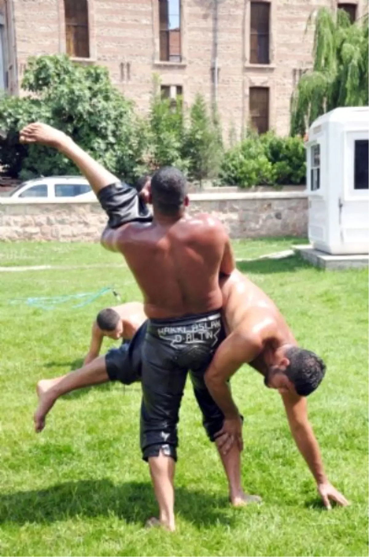 Kozlu Yağlı Güreşleri