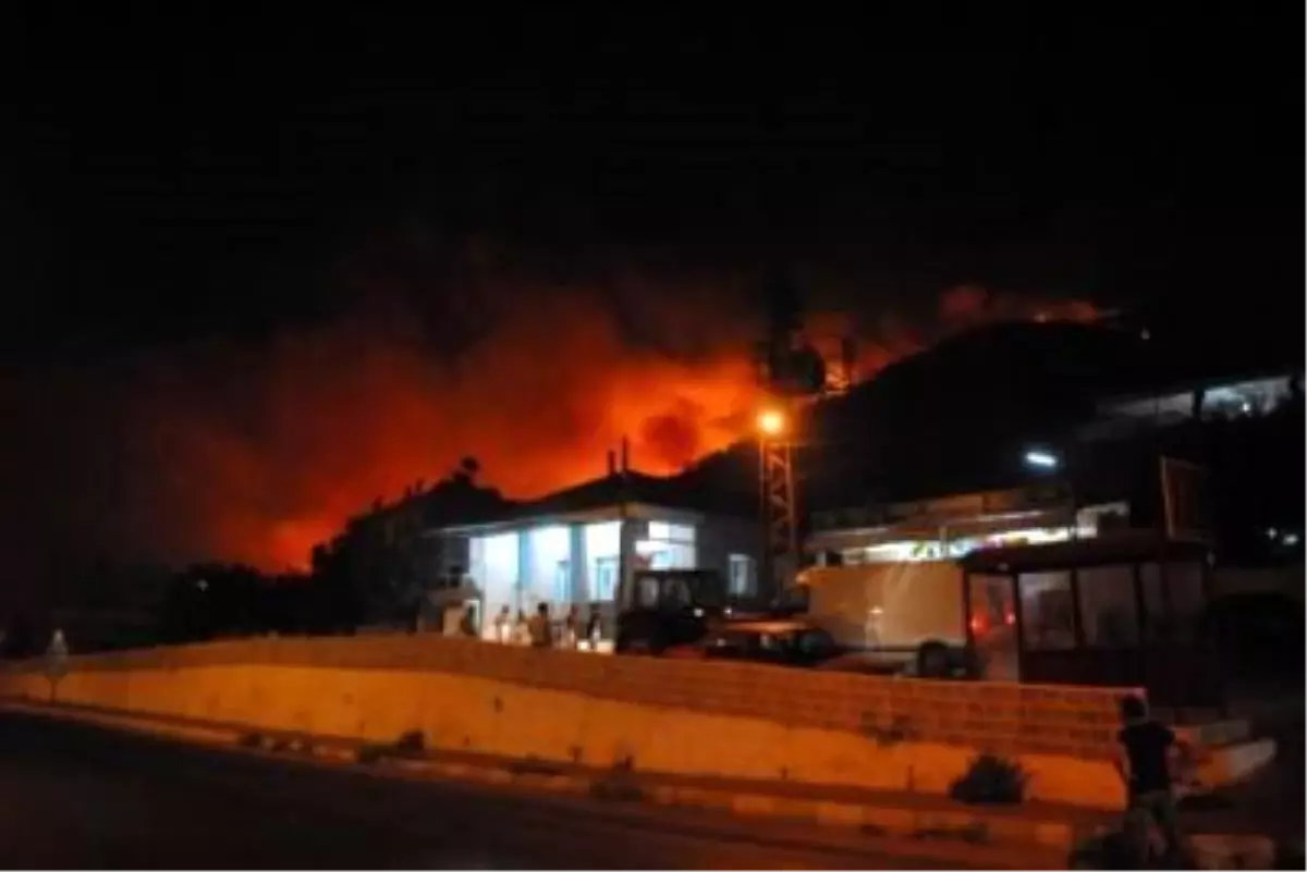 Ek Haber -Söke\'de Orman Yangını Başladı