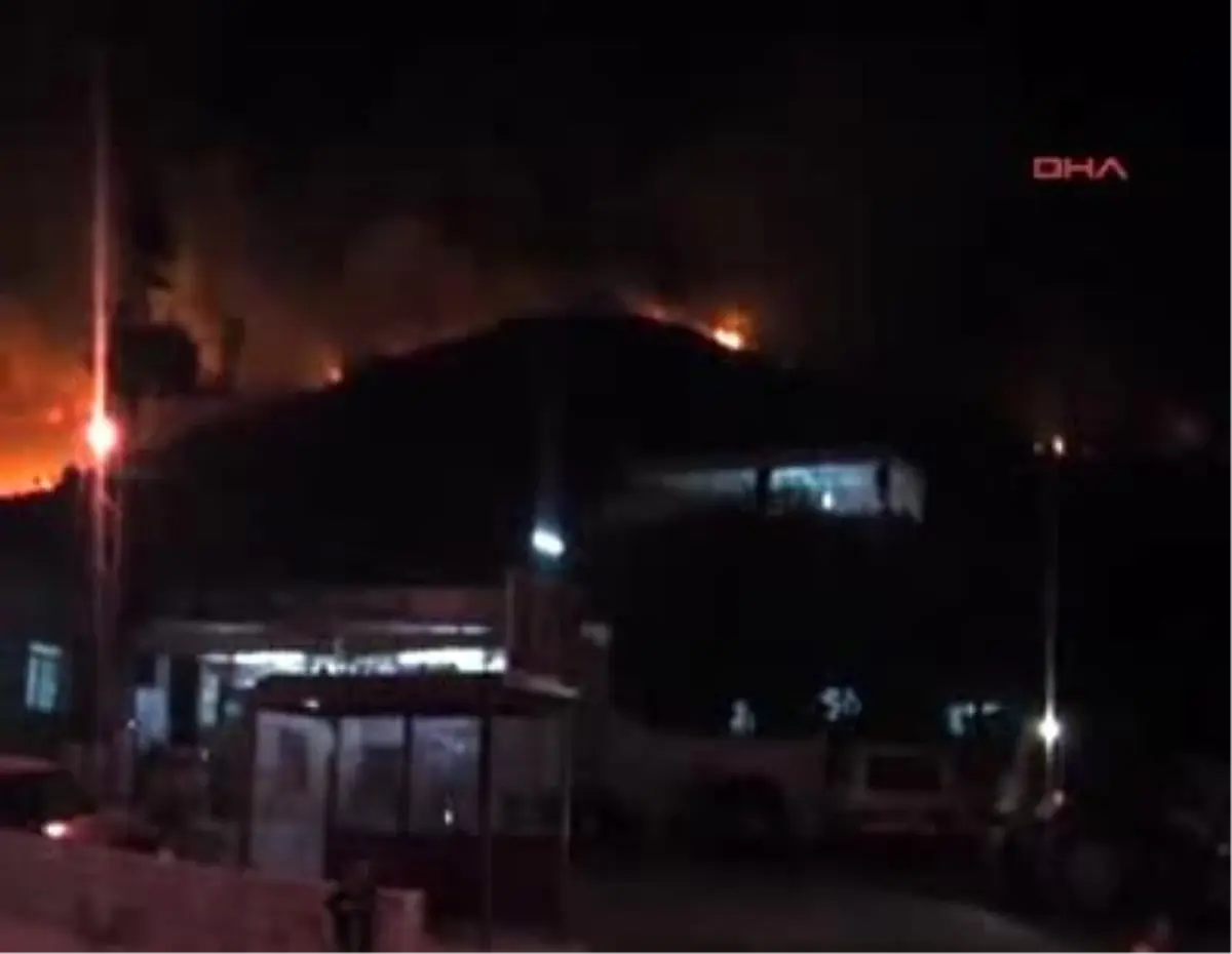 Söke\'de Orman Yangını Ek2