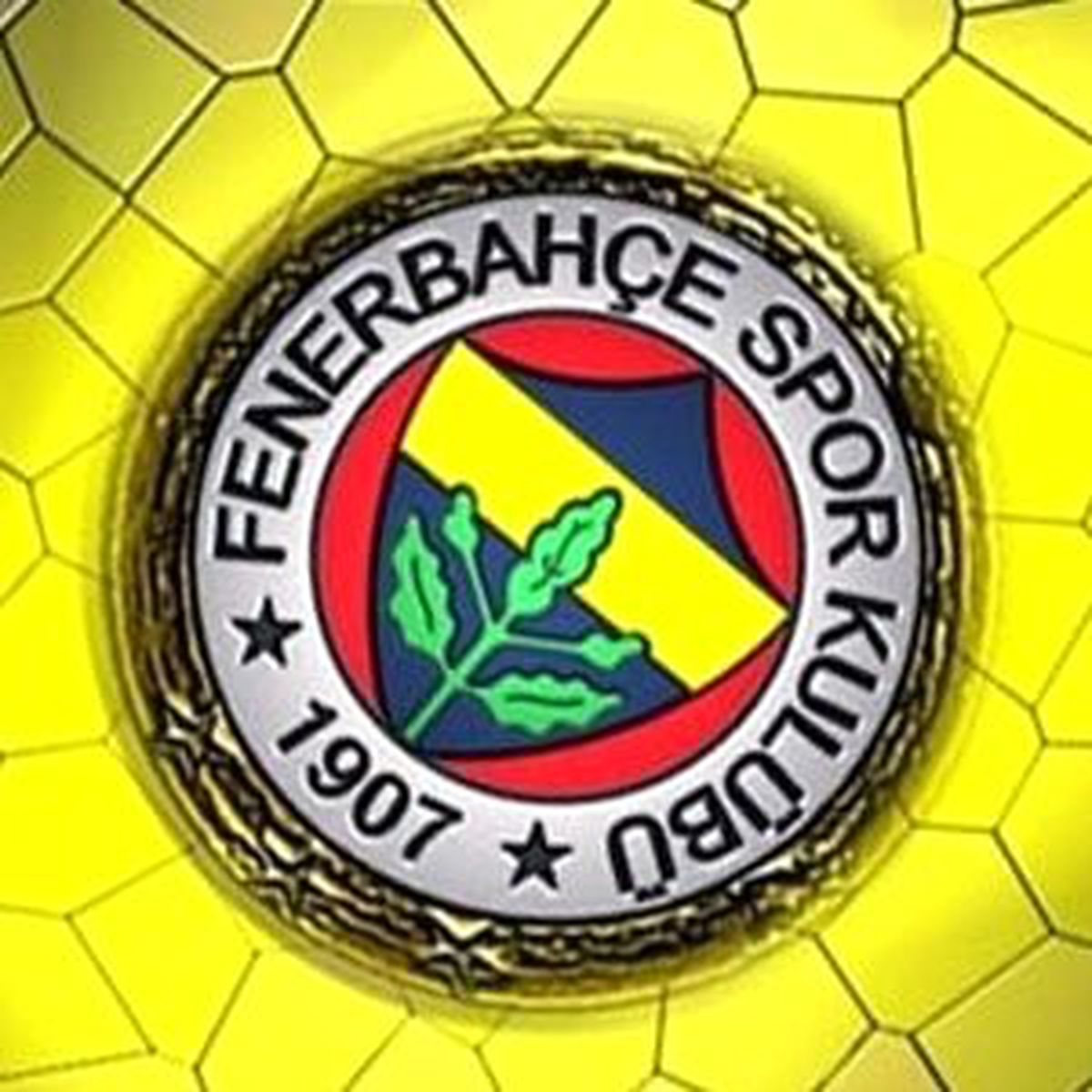 Fenerbahçe'de Yaprak Dökümü