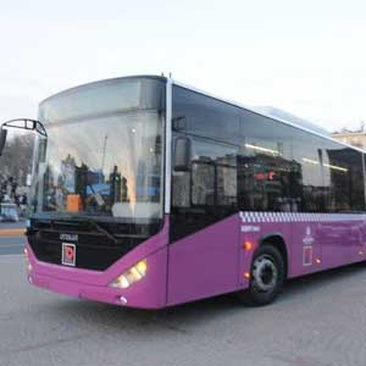 İstanbul'a 'Damalı' Otobüs