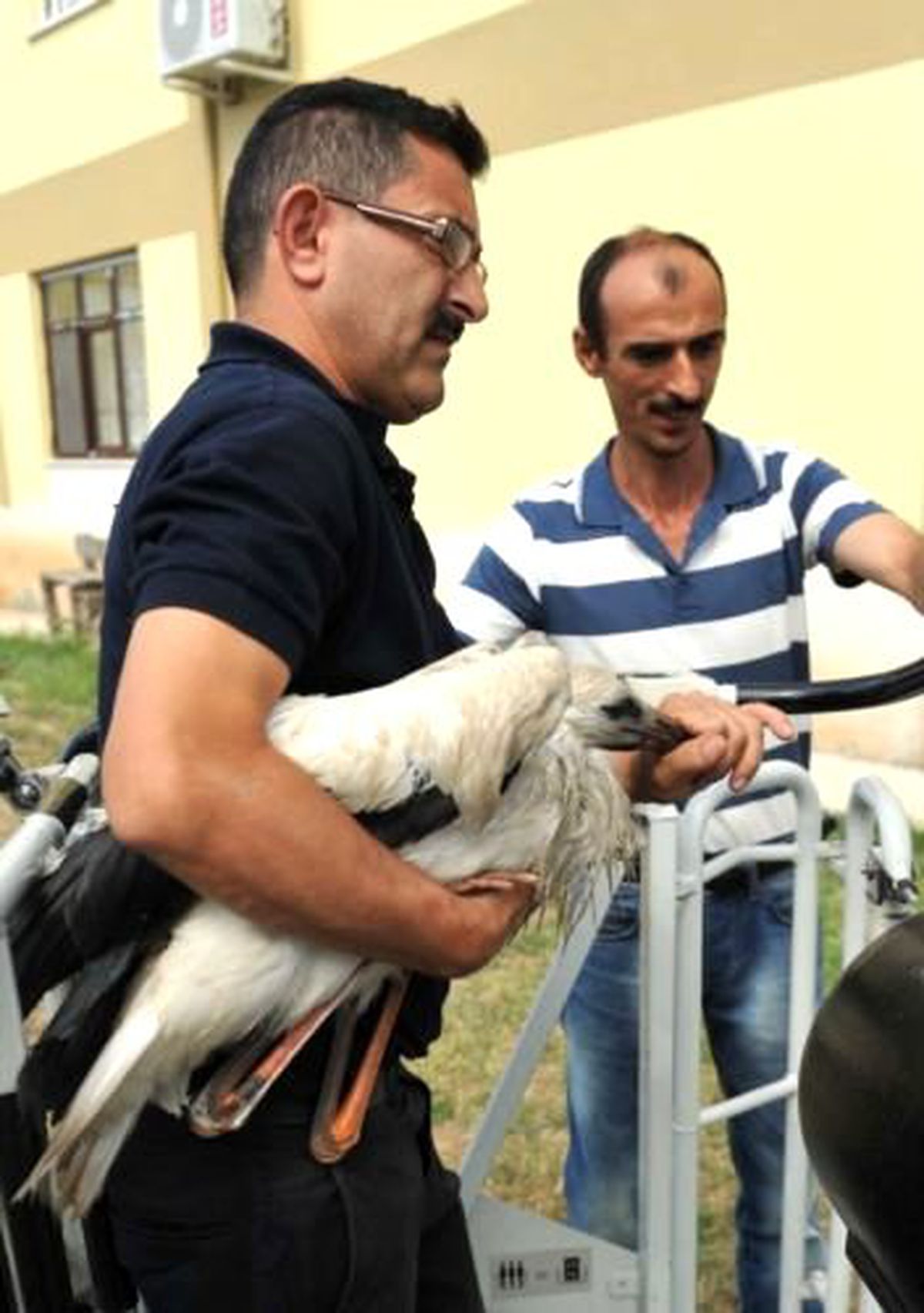 İtfaiyeciler Düşen Leyleği Yuvasına Koydu