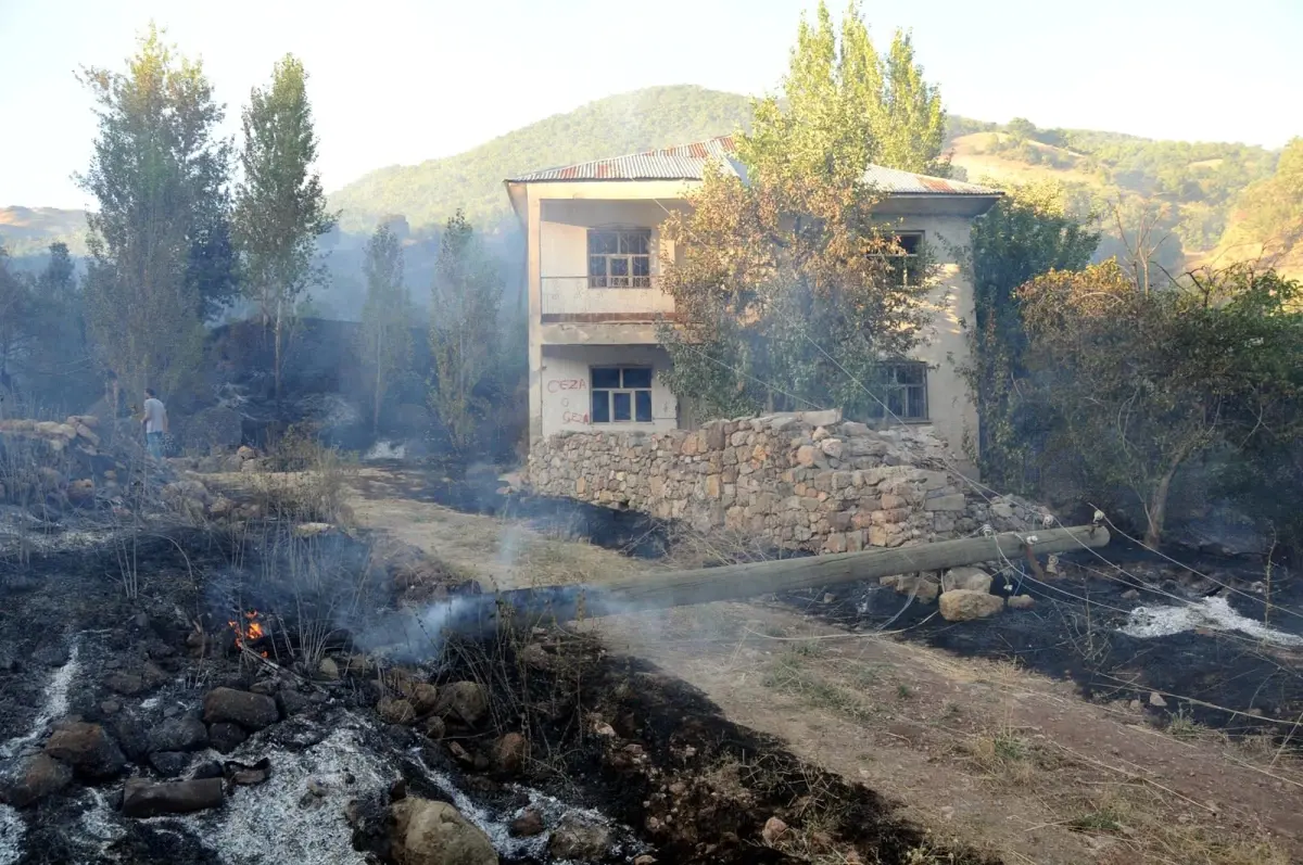 Pülümür\'de Ormandan Çıkan Yangında Meyve Ağaçları da Yandı