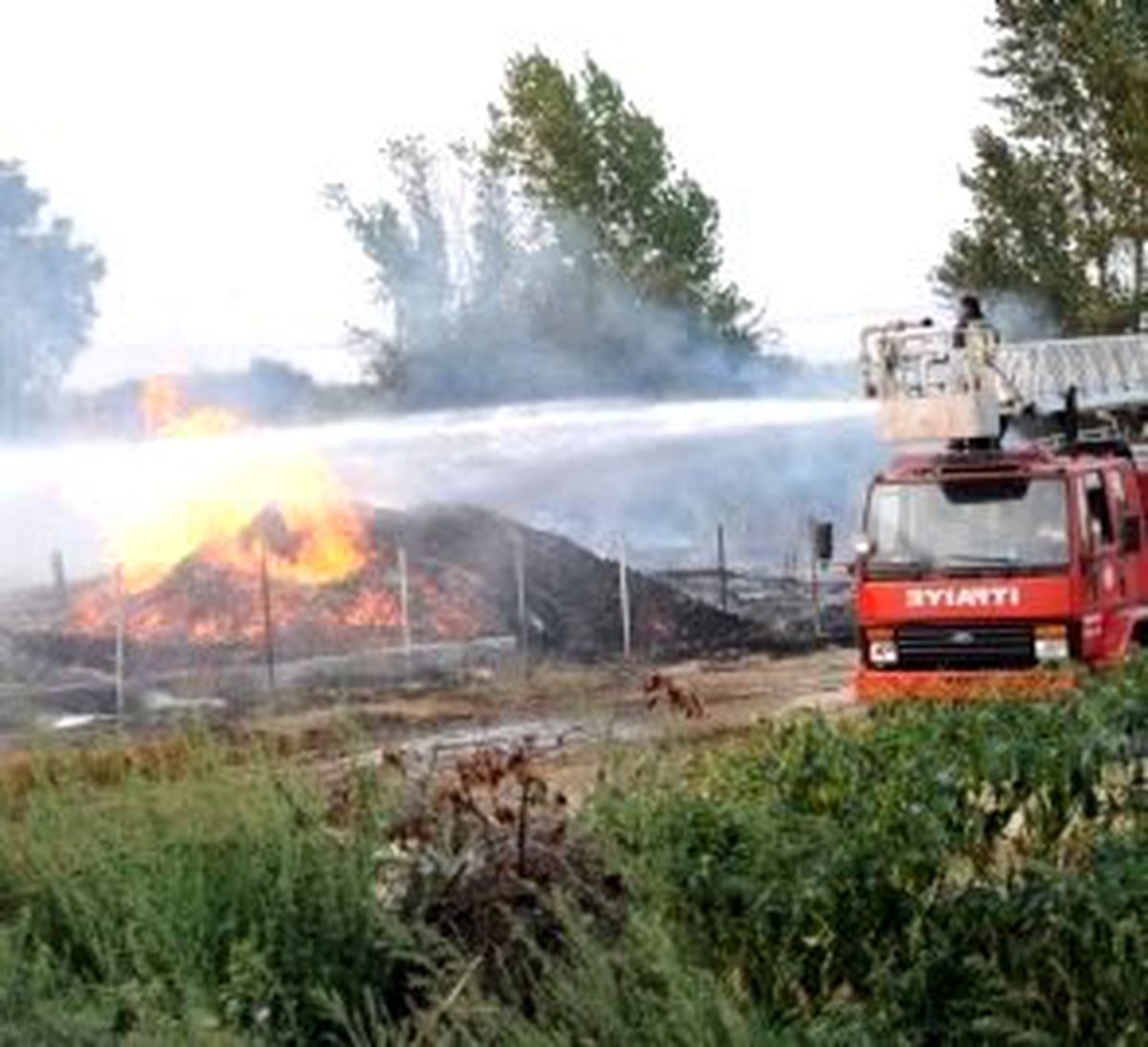 Tahta Palet Fabrikasında Korkutan Yangın